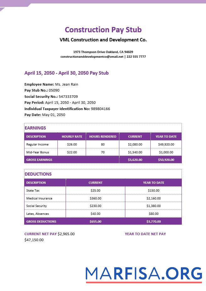Realistic Construction pay stub sample
